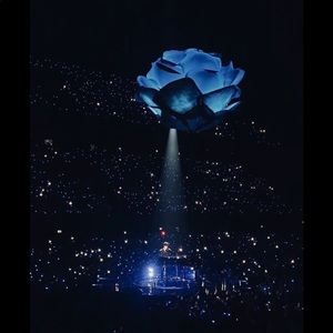 Meet your Posher, Gianna